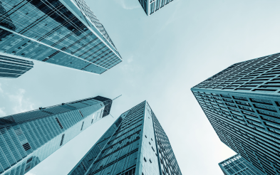 Introduzione alla Costituzione della Holding